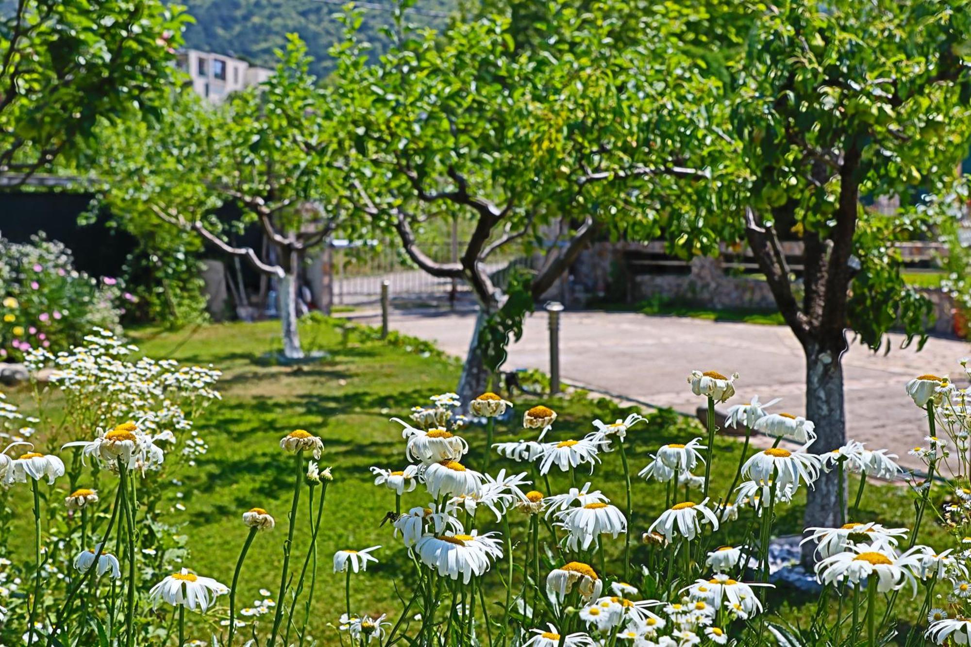 Holiday House Kubrat Sapareva Banya Bagian luar foto