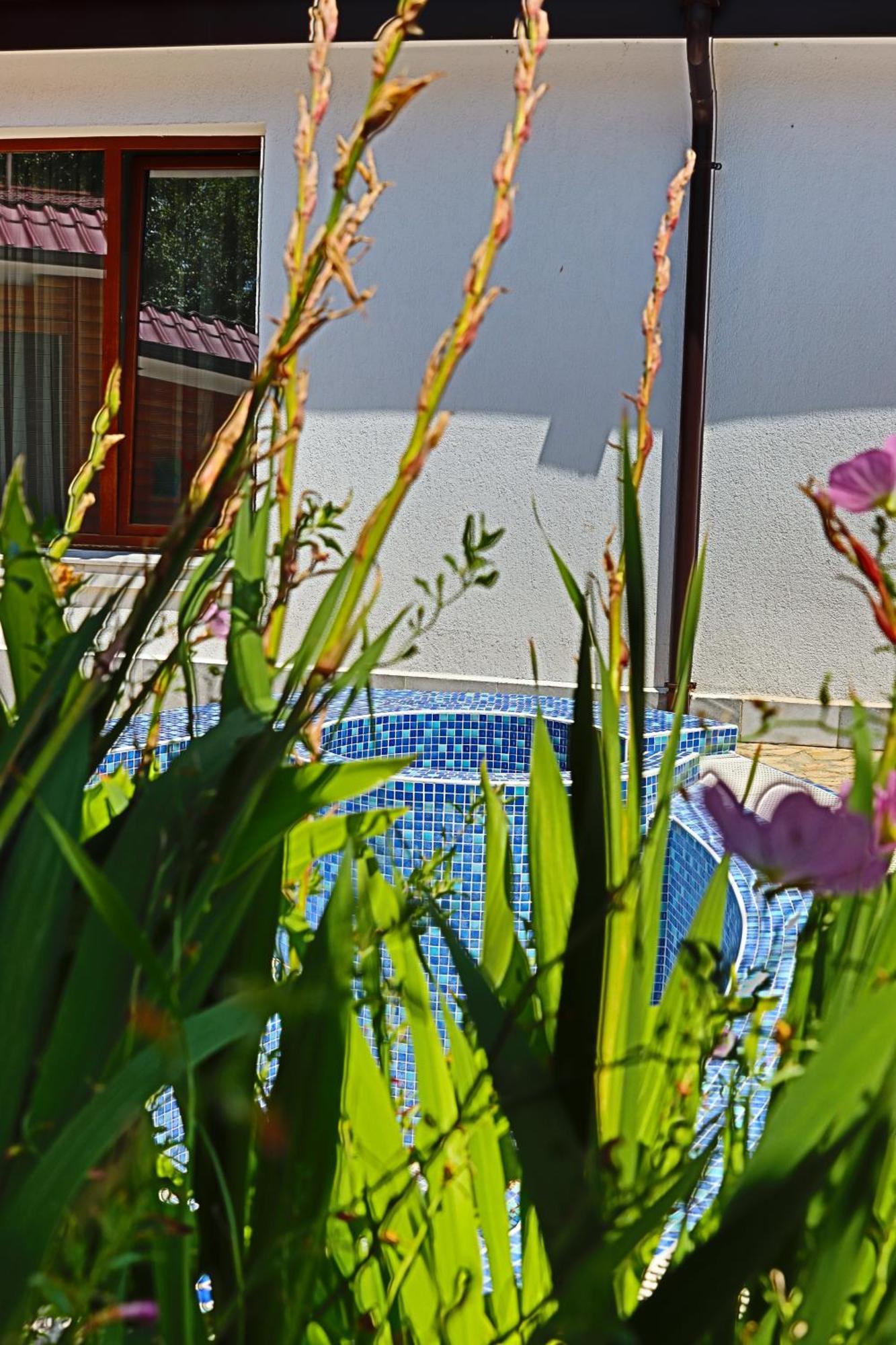Holiday House Kubrat Sapareva Banya Bagian luar foto